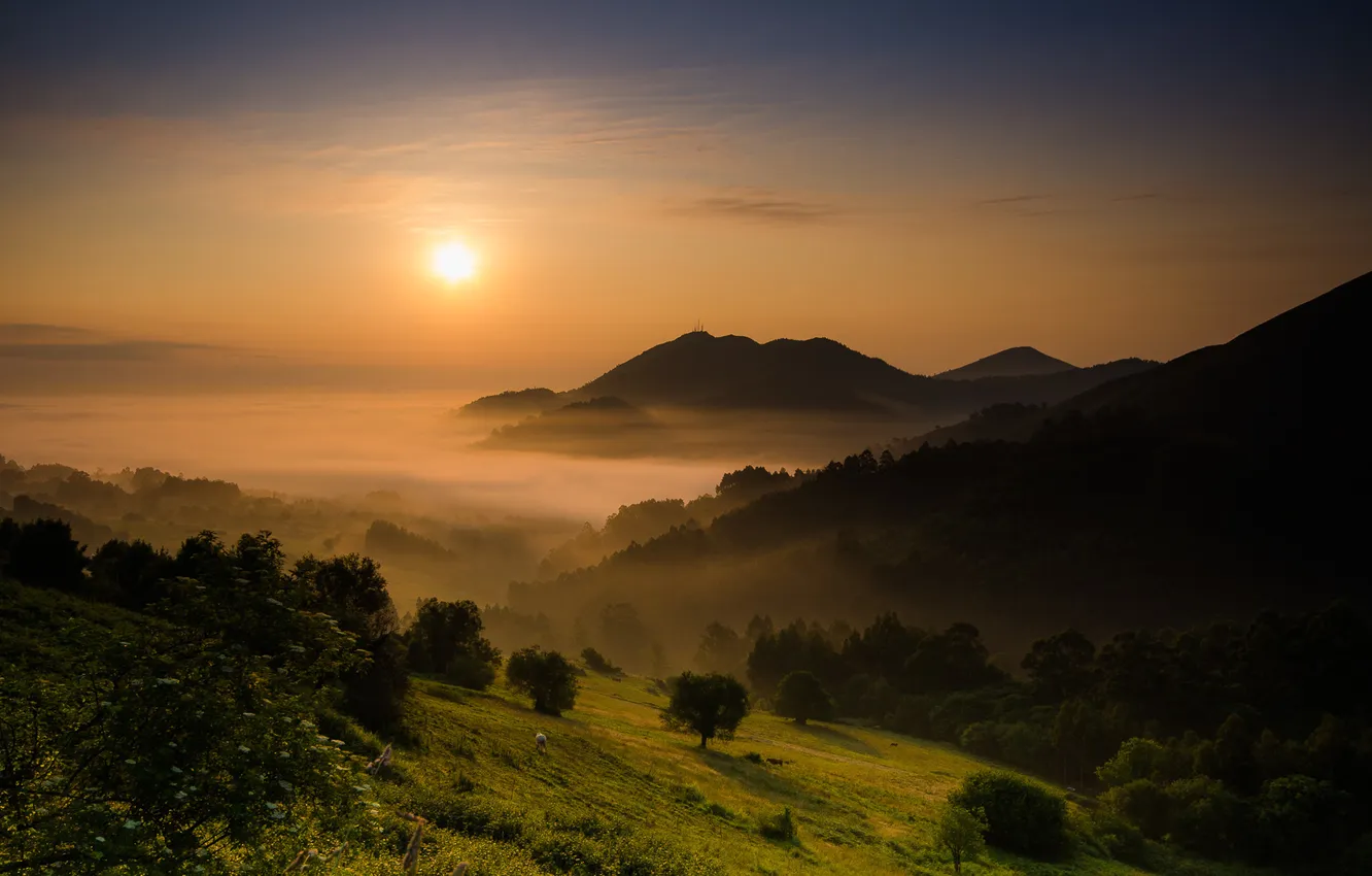 Photo wallpaper landscape, mountains, fog, morning