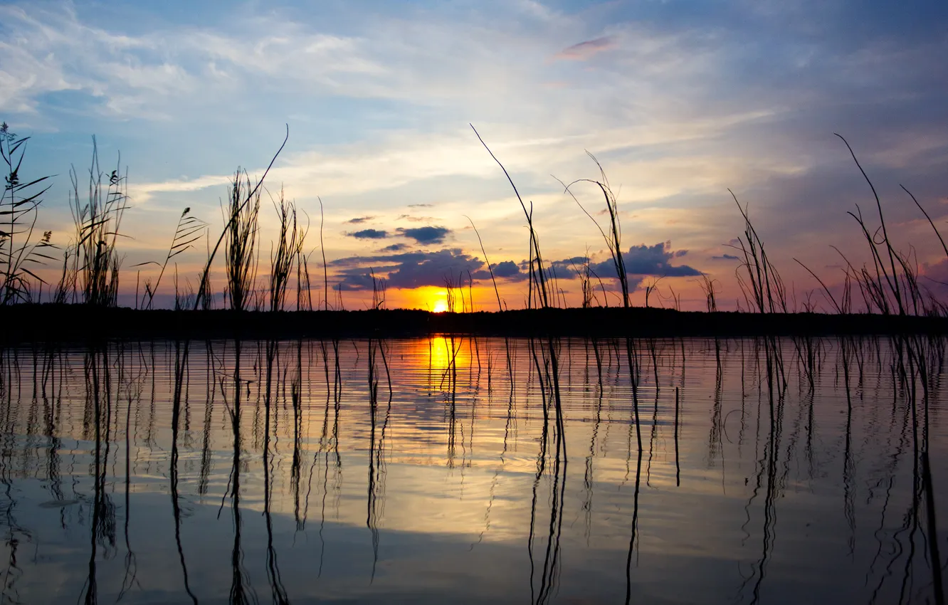 Photo wallpaper grass, the sun, lake, reflection, the evening