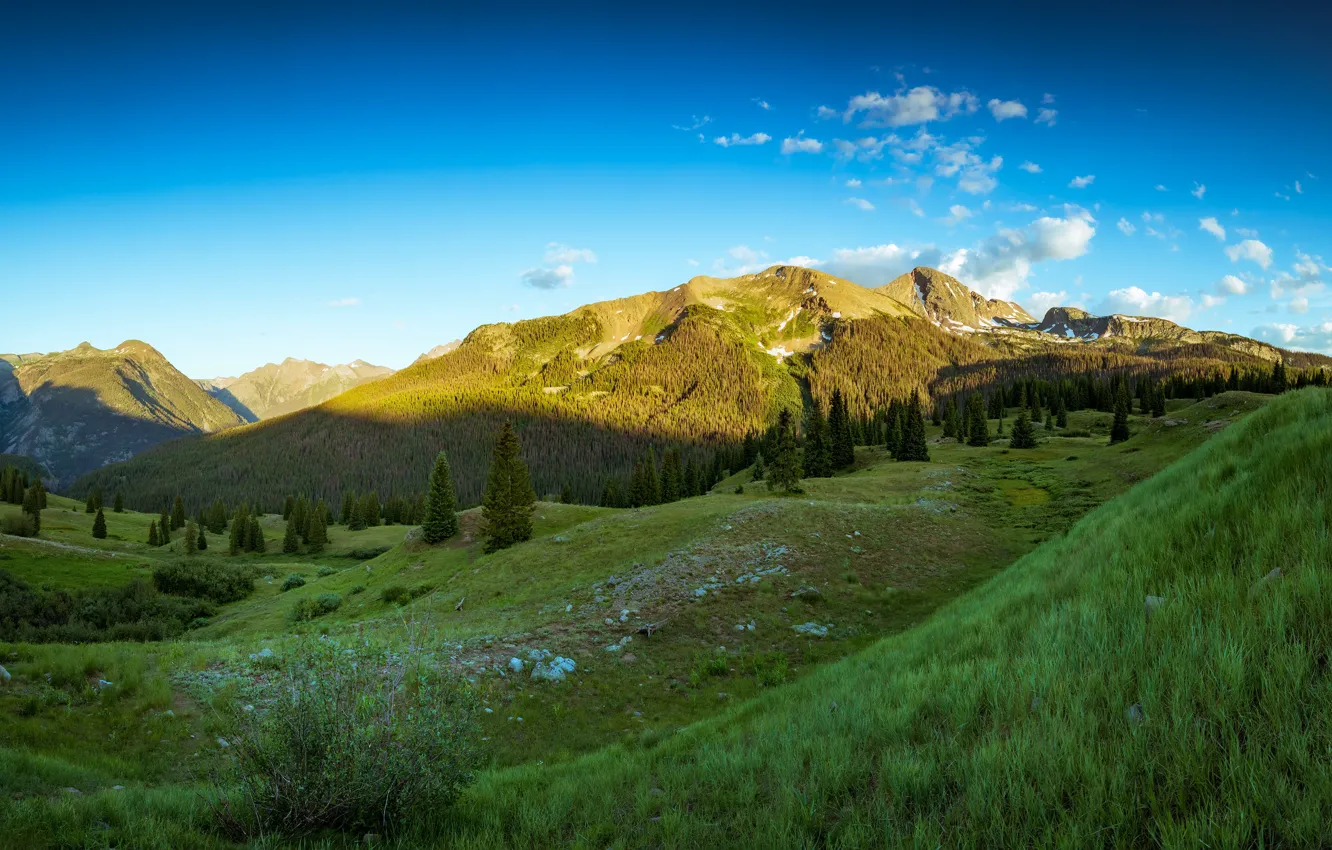 Photo wallpaper greens, forest, summer, grass, clouds, light, mountains, blue