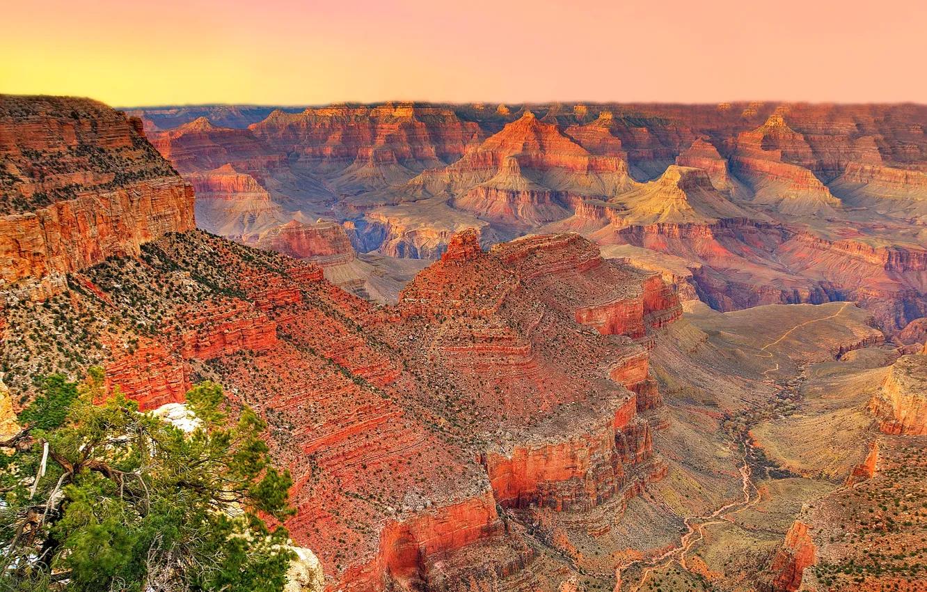 Photo wallpaper the sky, sunset, mountains, tree, canyon, AZ, USA, USA