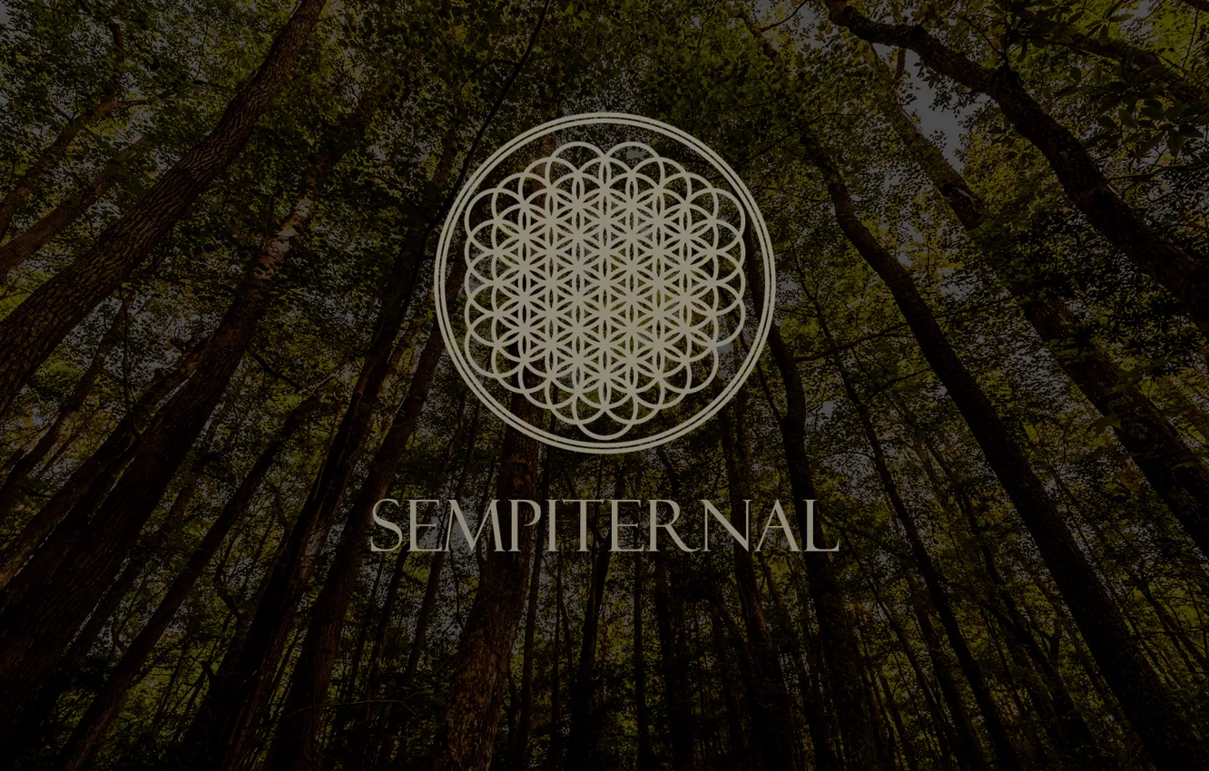 Photo wallpaper logo, Music, trees, wood, Bring Me The Horizon, metalcore, post-hardcore, Sempiternal
