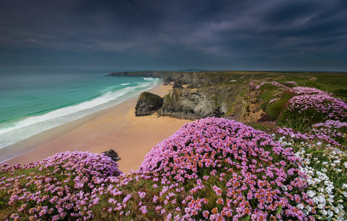 Photo wallpaper sand, sea, beach, summer, the sky, flowers, clouds, rocks
