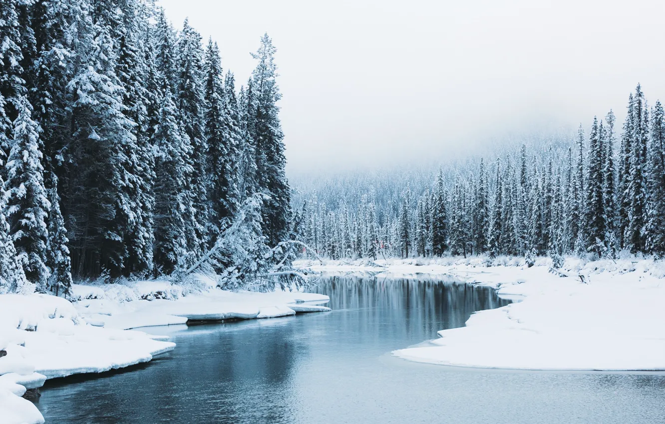 Photo wallpaper winter, forest, snow, nature, river