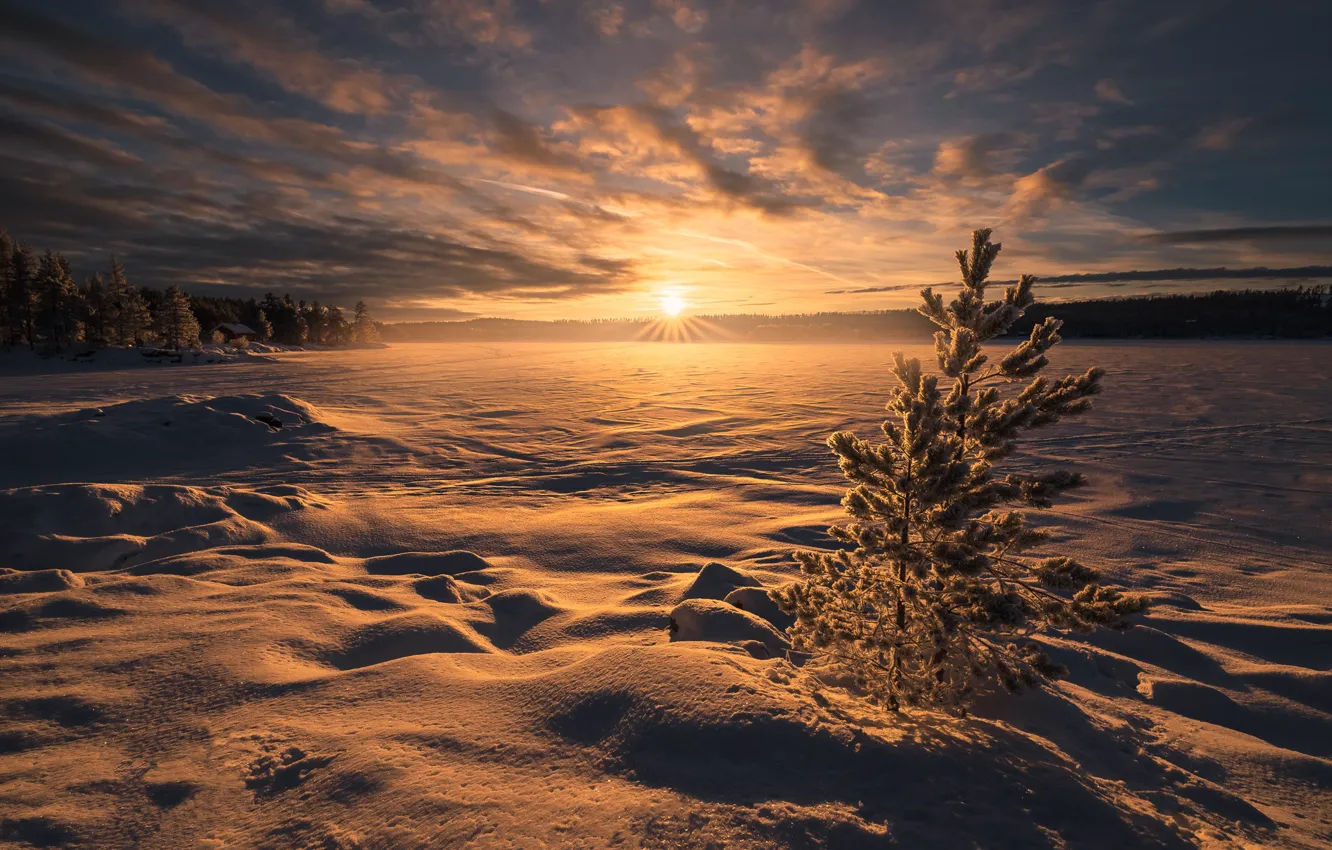 Photo wallpaper winter, snow, sunset, lake, Norway, the snow, Norway, RINGERIKE