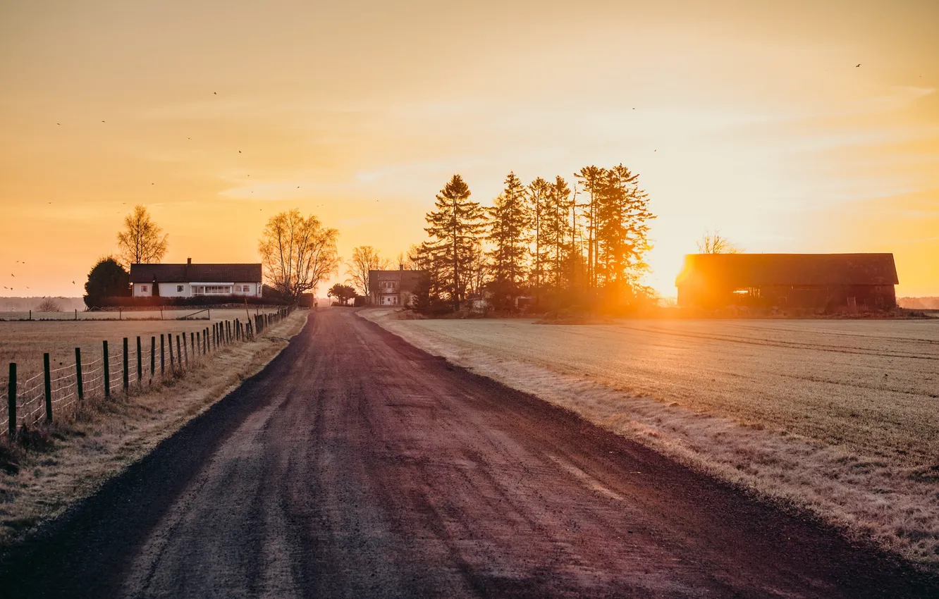 Photo wallpaper road, light, morning
