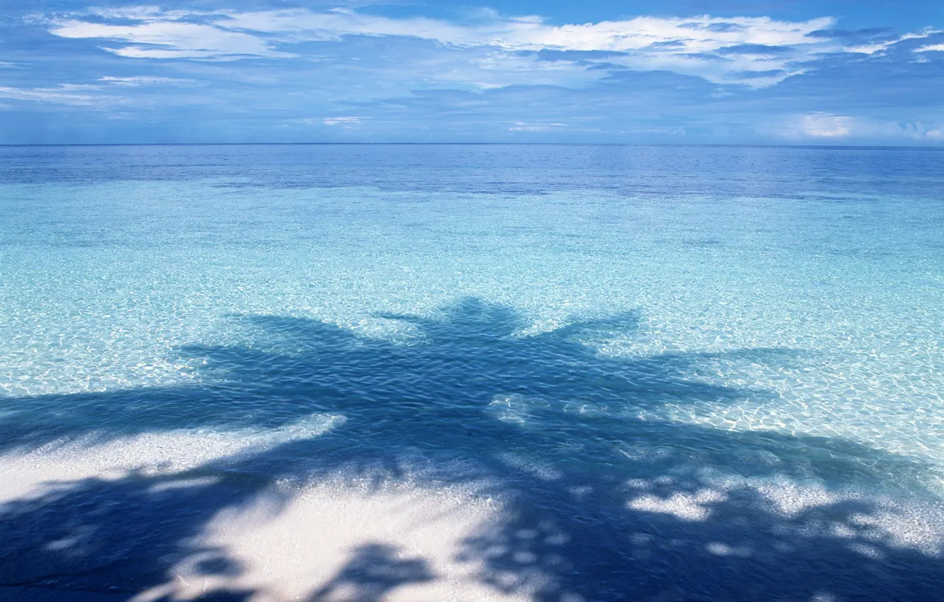 Photo wallpaper water, blue, palm trees, shadow, horizon