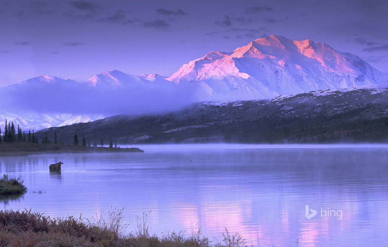 Photo wallpaper the sky, mountains, lake, Alaska, USA, moose, Wonder Lake