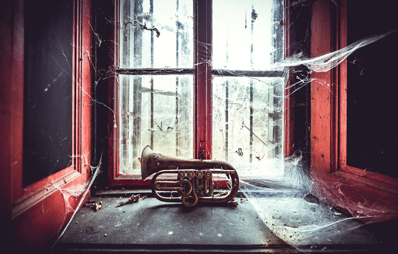 Photo wallpaper web, window, forgotten, wind musical instrument, Forgotten Tunes