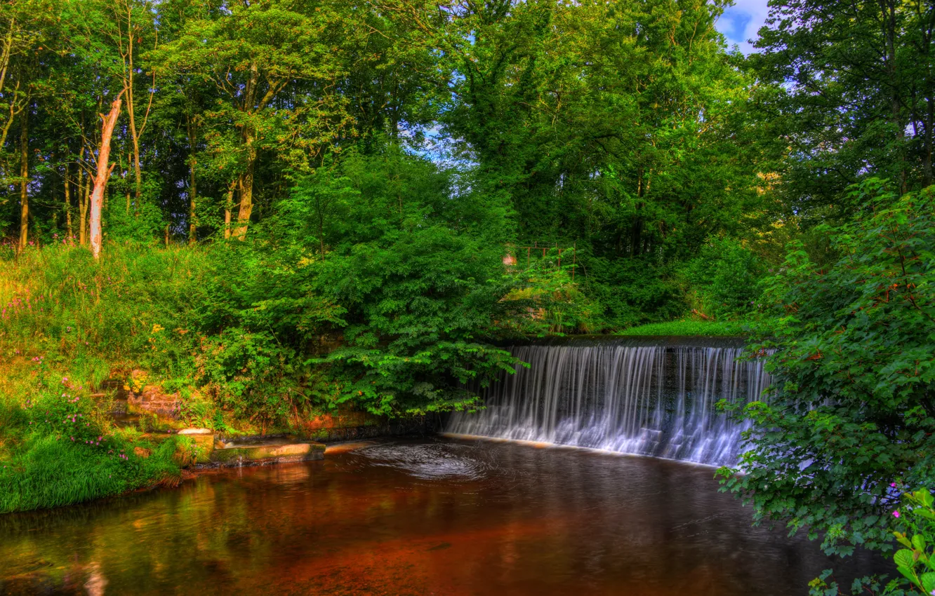 Photo wallpaper trees, Park, England, waterfall, HDR, Yarrow Valley Country Park