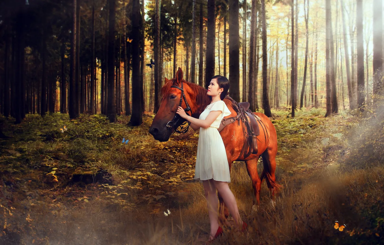Photo wallpaper forest, girl, horse