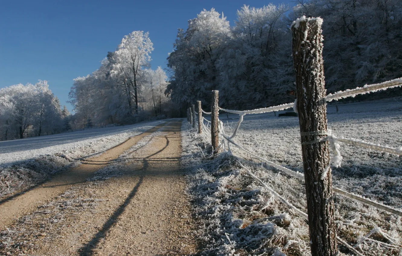 Photo wallpaper winter, frost, road, snow, trees, nature