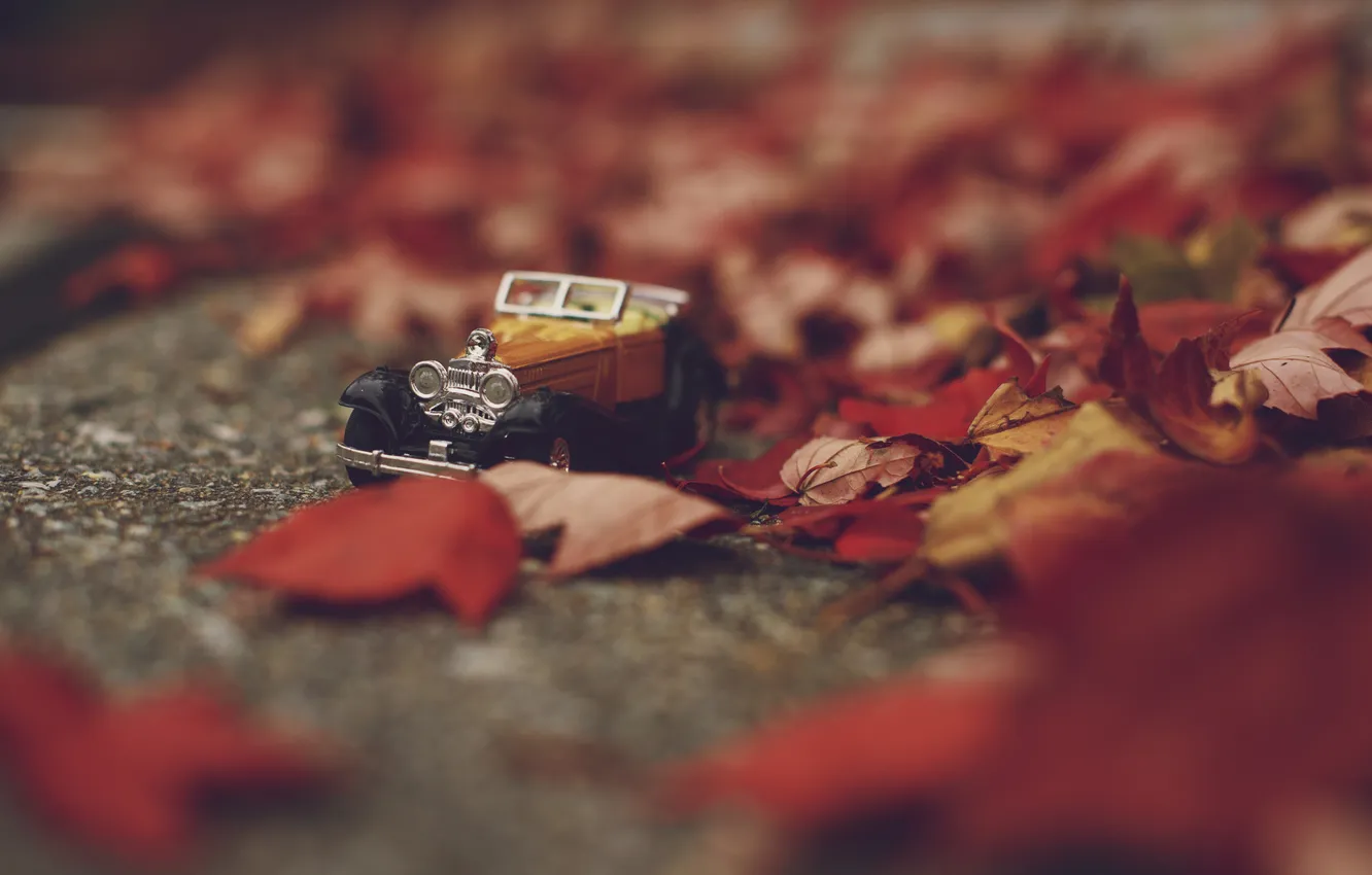 Photo wallpaper autumn, leaves, toy, machine