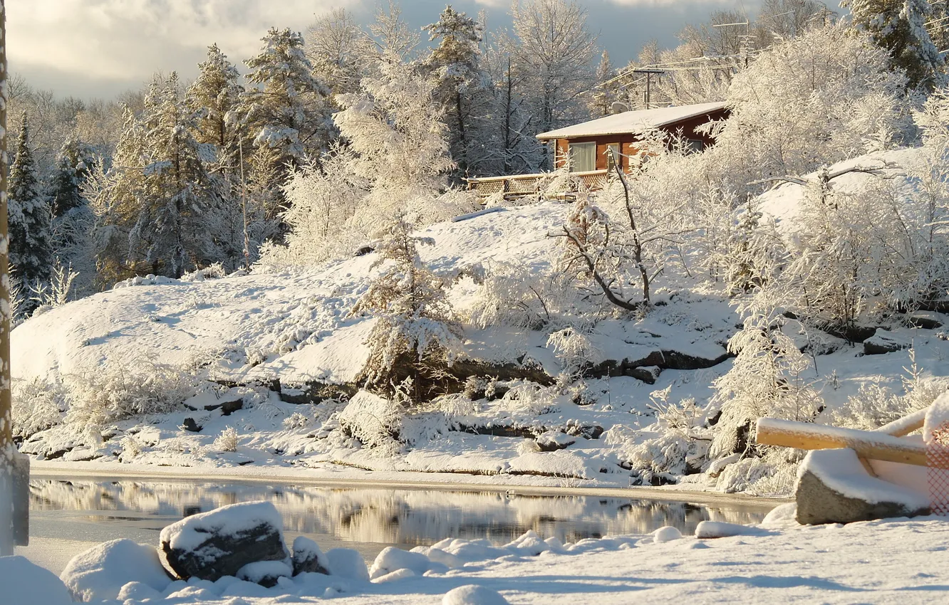 Photo wallpaper winter, snow, trees, nature, river, Canada, Ontario