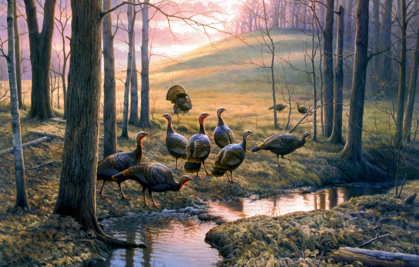 Photo wallpaper autumn, forest, stream, hill, painting, autumn leaves, turkeys, Callin Em Out