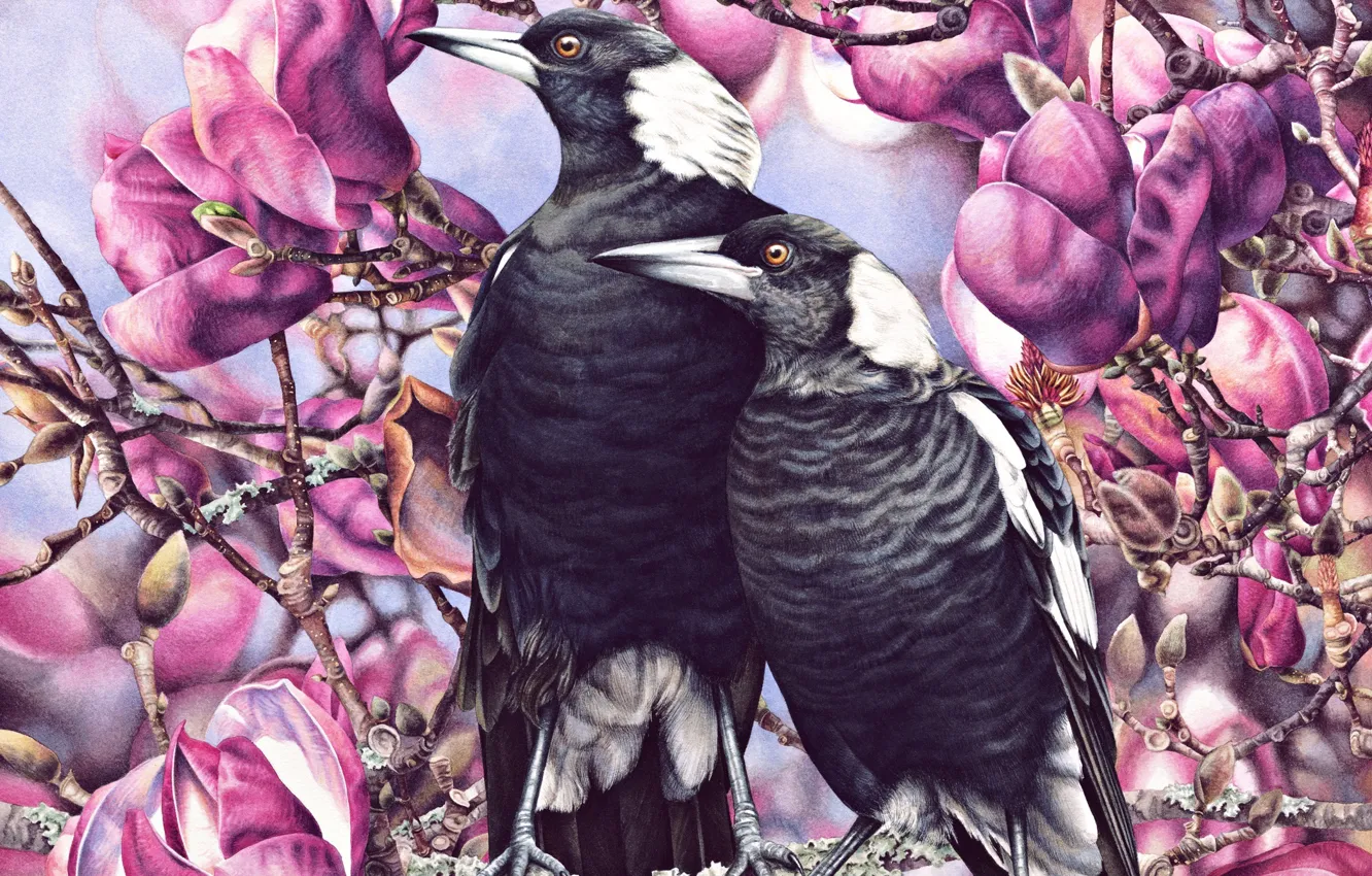 Photo wallpaper bird, spring, art, Heidi Willis
