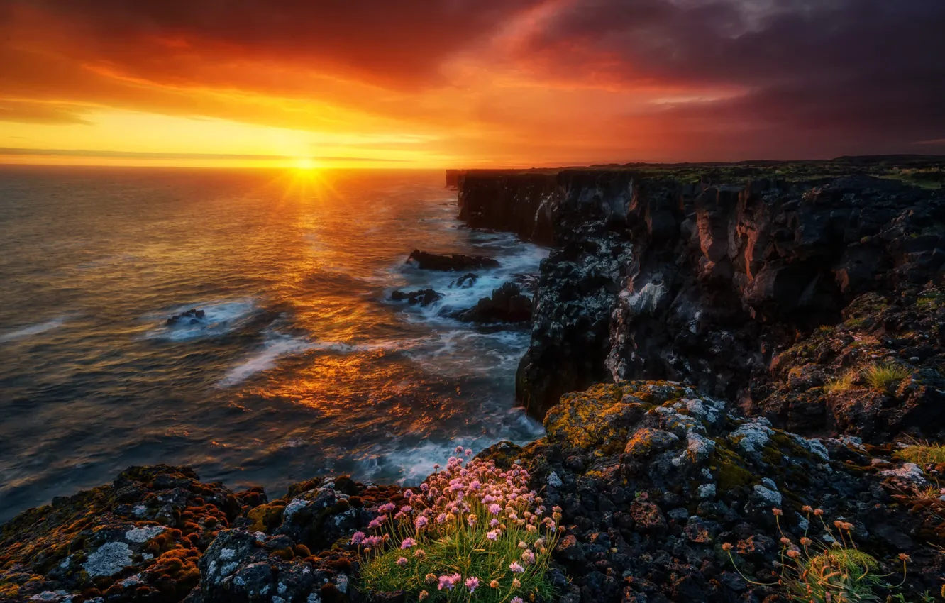 Photo wallpaper sea, the sky, the sun, rays, sunset, flowers, stones, rocks