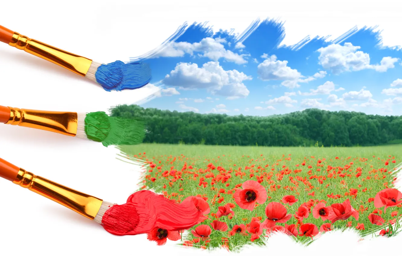 Photo wallpaper field, the sky, grass, clouds, flowers, paint, Mac, brush