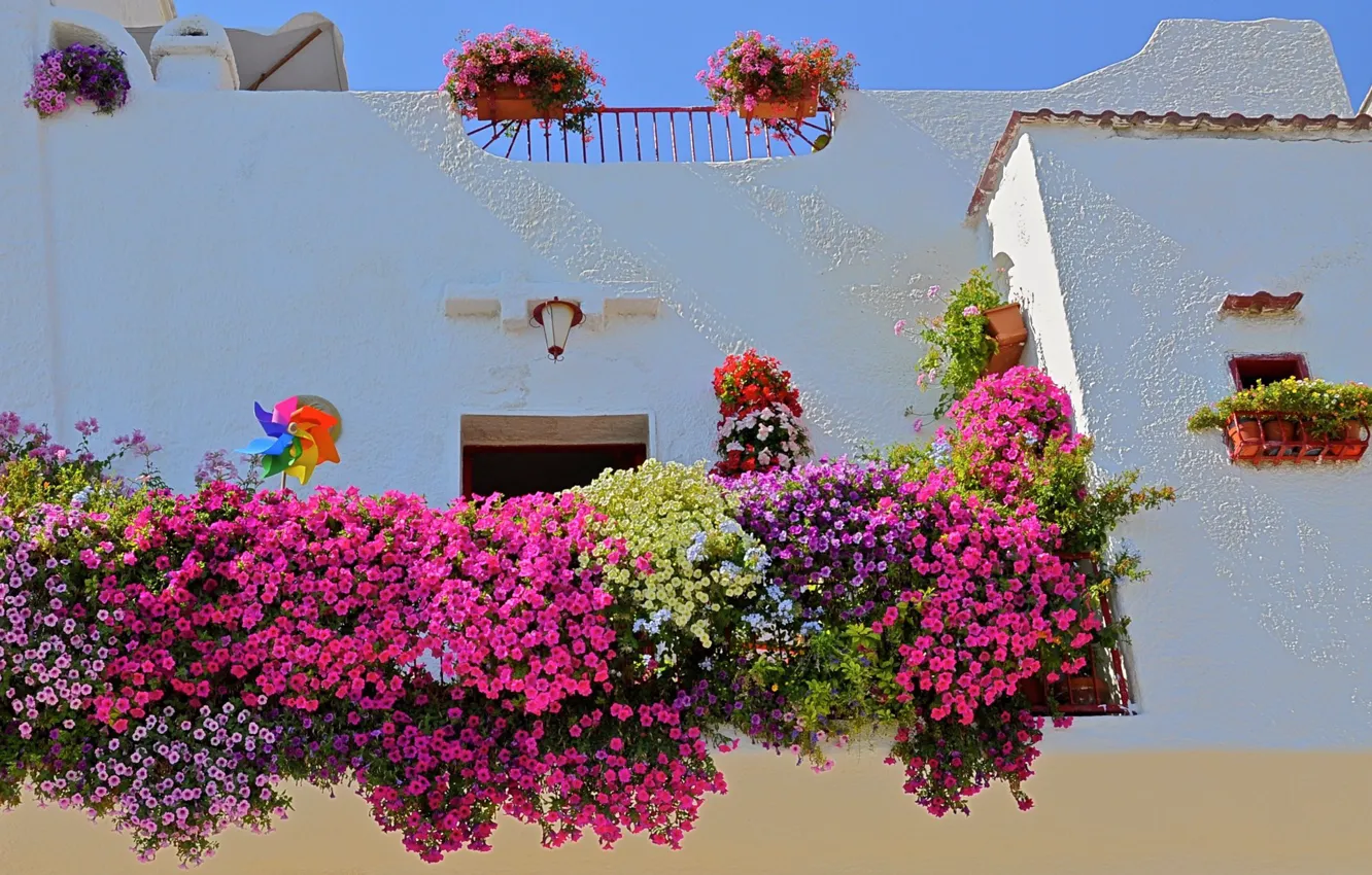 Photo wallpaper flowers, house, wall, Italy, Monopolies