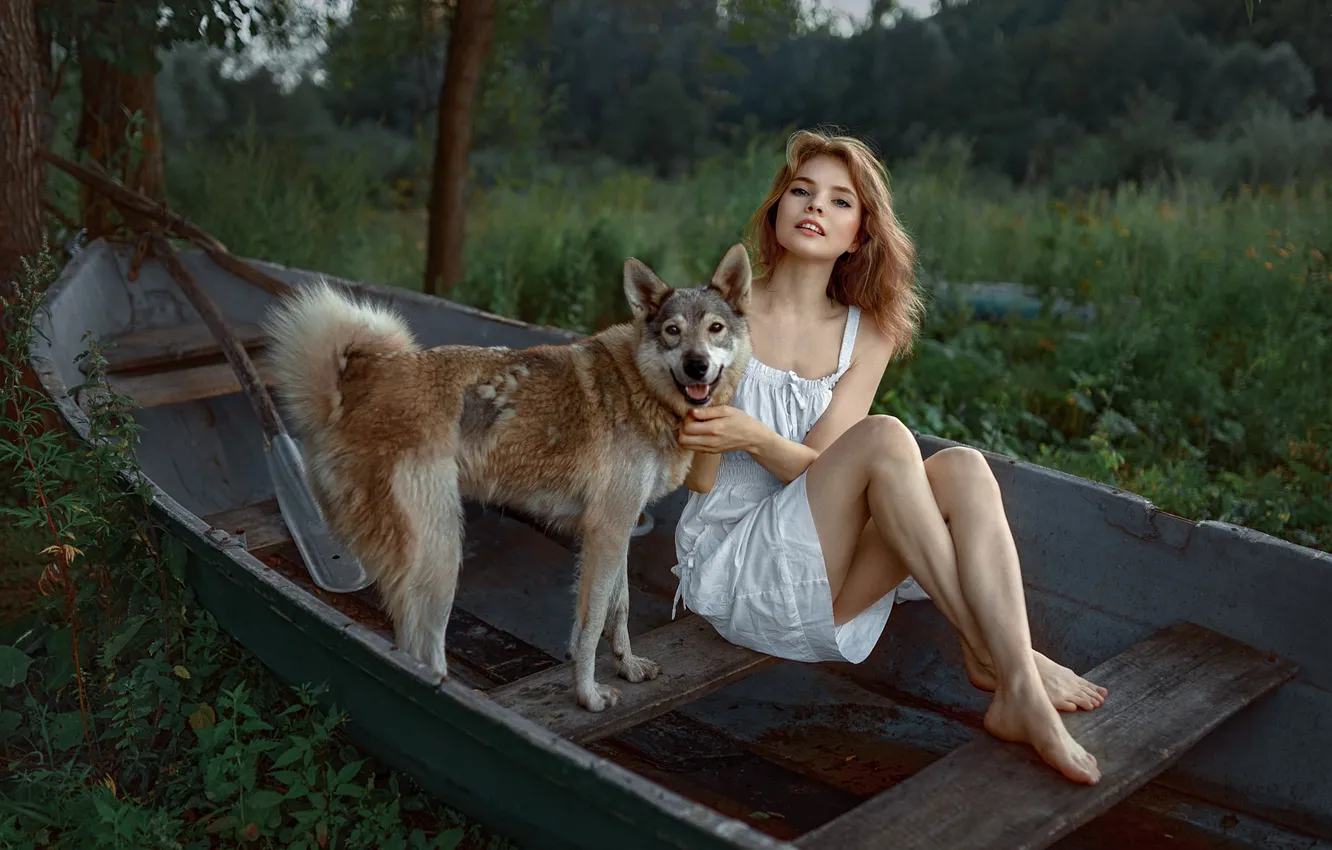 Photo wallpaper forest, dog, redhead, thighs, looking at viewer, rowboat, Andrey Metelkov, Natalya Nikitina