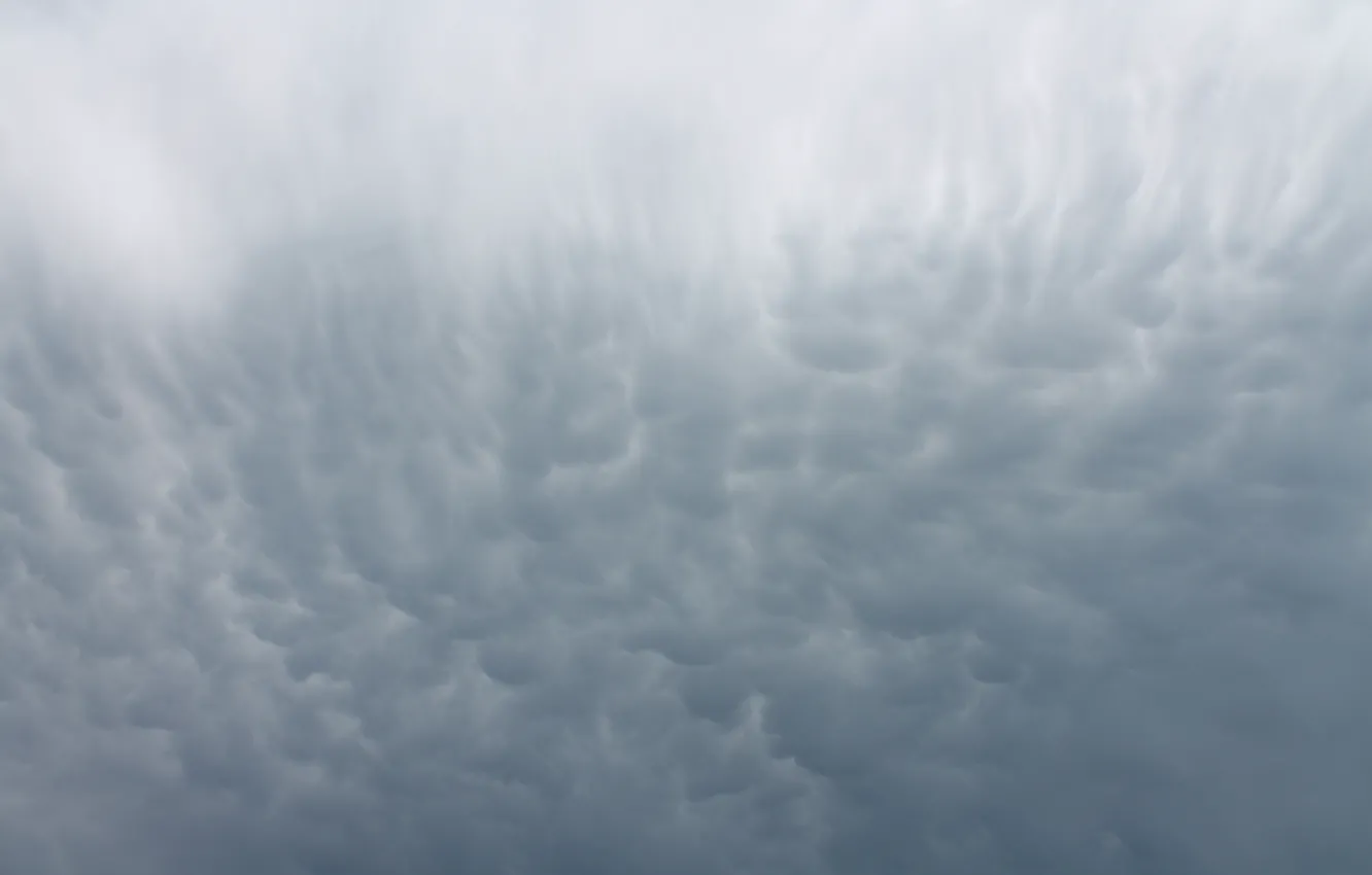 Photo wallpaper the sky, clouds, nature, grey, overcast