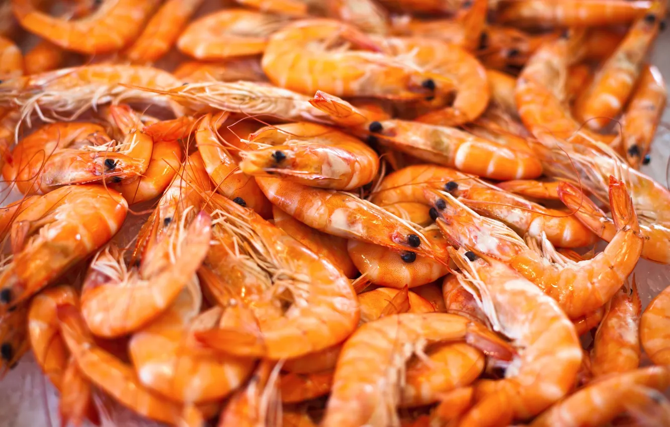 Photo wallpaper seafood, shrimp, food, wallpaper, crustacean