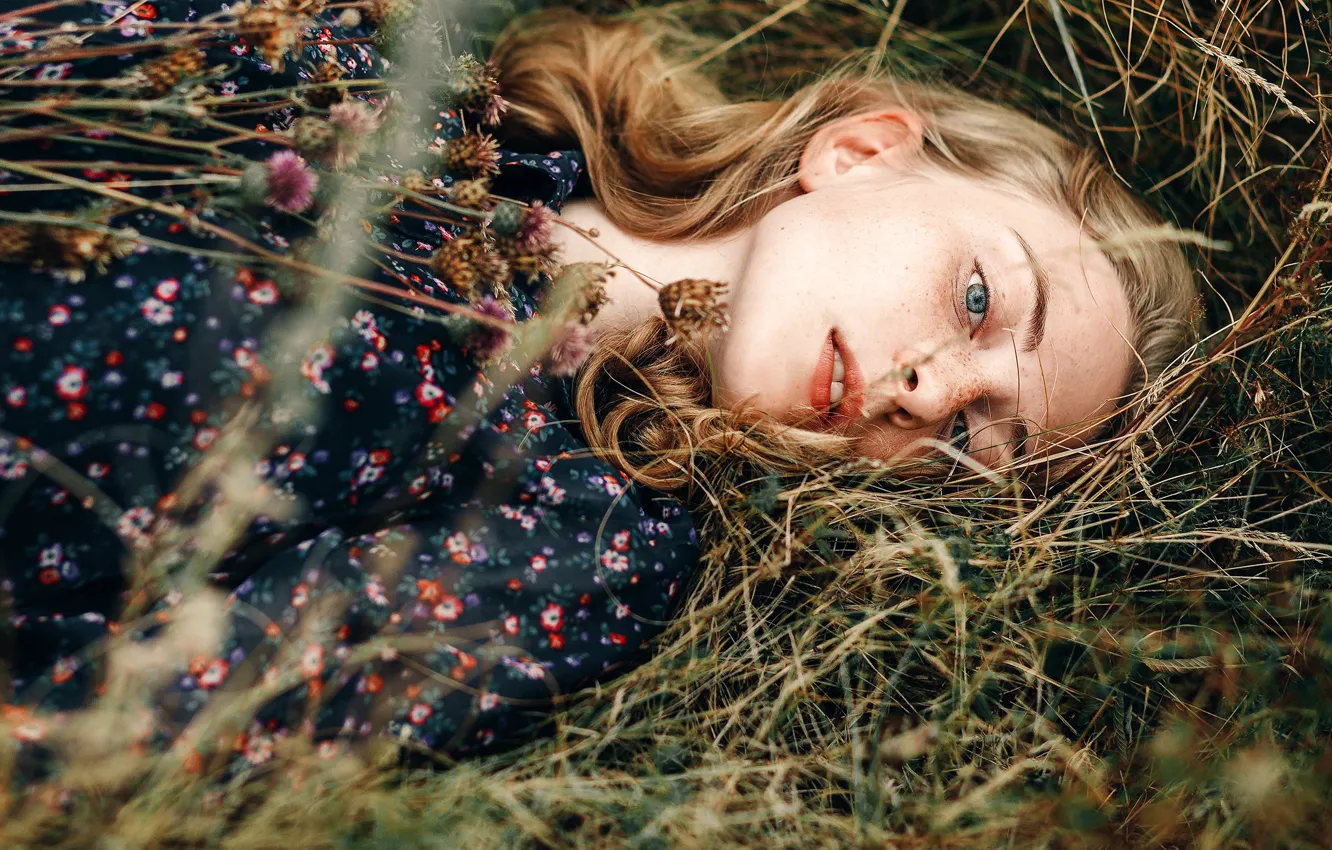 Photo wallpaper grass, freckles, sponge, a bunch