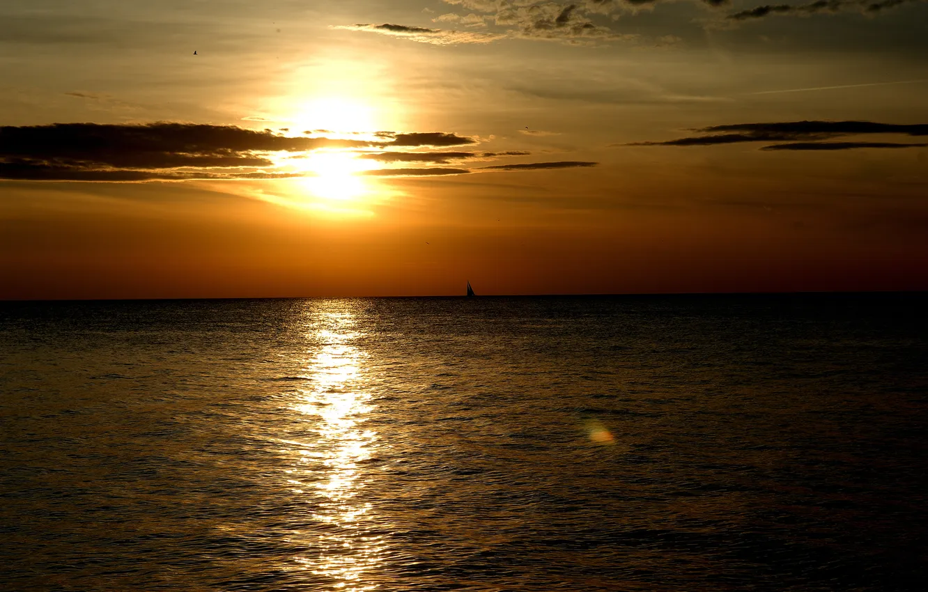 Photo wallpaper sea, the sun, sunset, glare, sail, sunset