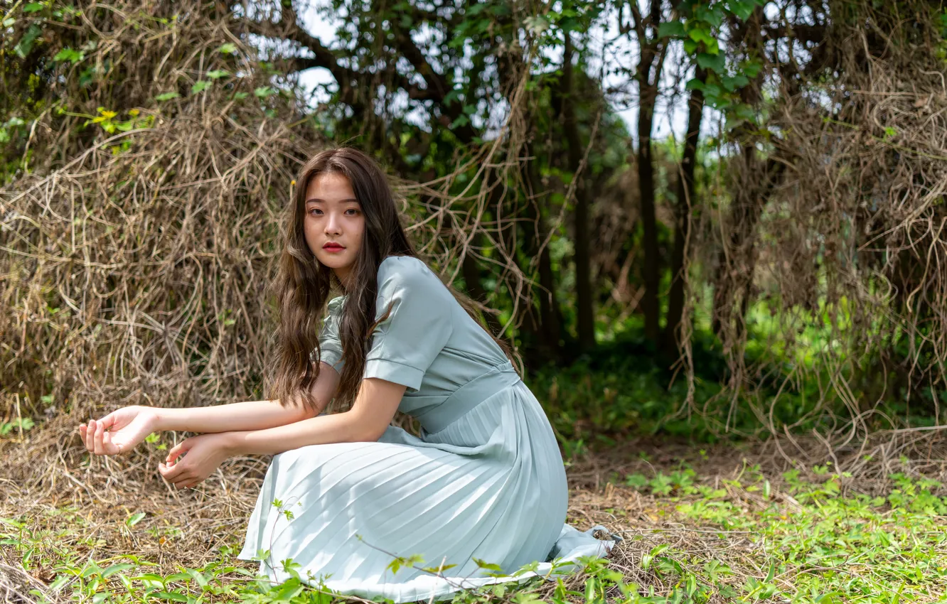 Photo wallpaper girl, hair, dress, Asian
