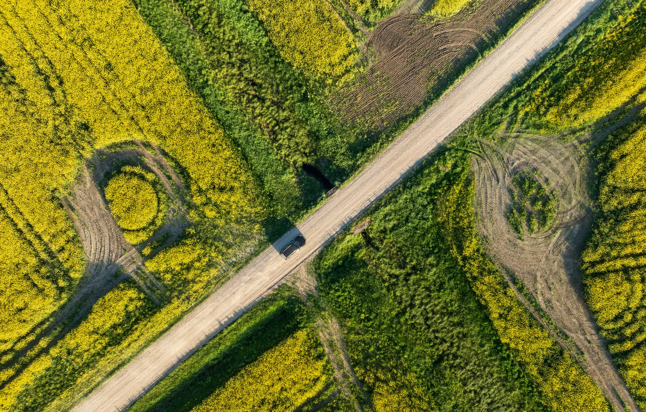 Photo wallpaper field, vehicle, dirt road, drone view