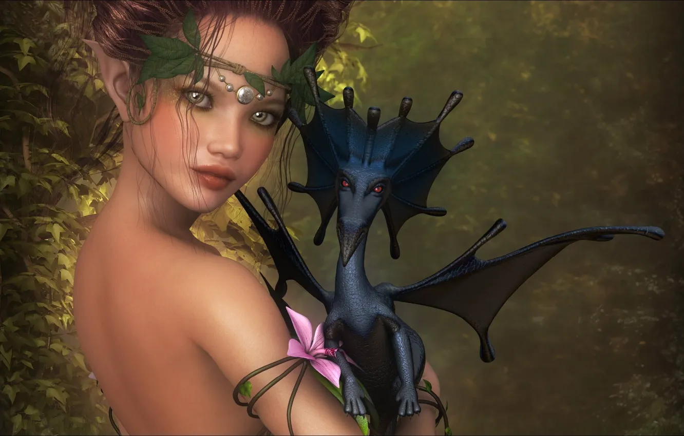 Photo wallpaper fiction, dragon, elf, fantasy, pair, fantasy, different, rendering