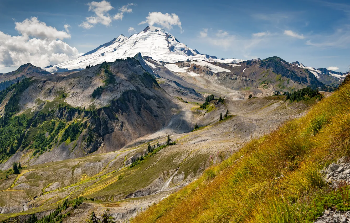 Photo wallpaper forest, mountains, slope