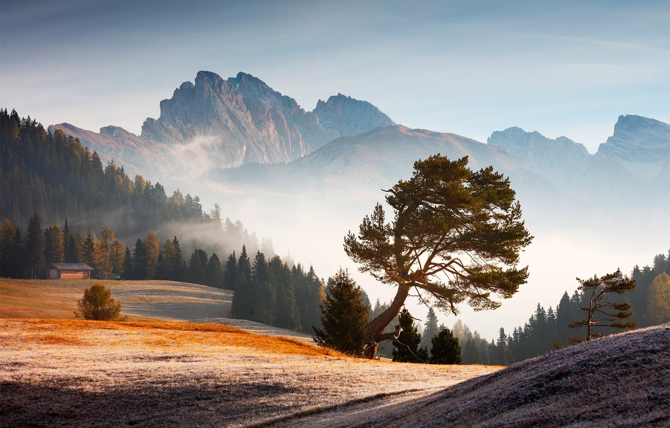 Photo wallpaper forest, trees, landscape, Italy, nature, mountains, clouds, morning