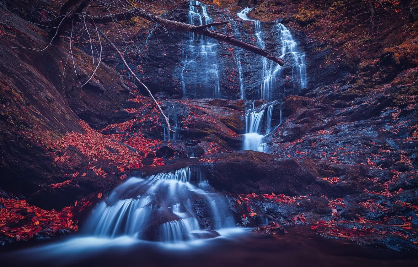 Photo wallpaper autumn, rocks, waterfall, falling leaves