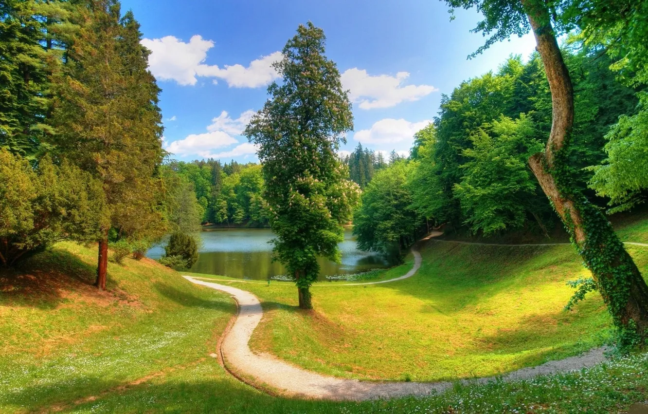 Photo wallpaper trees, landscape, nature, lake, river, trail