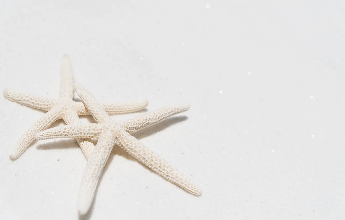 Photo wallpaper sand, nature, starfish