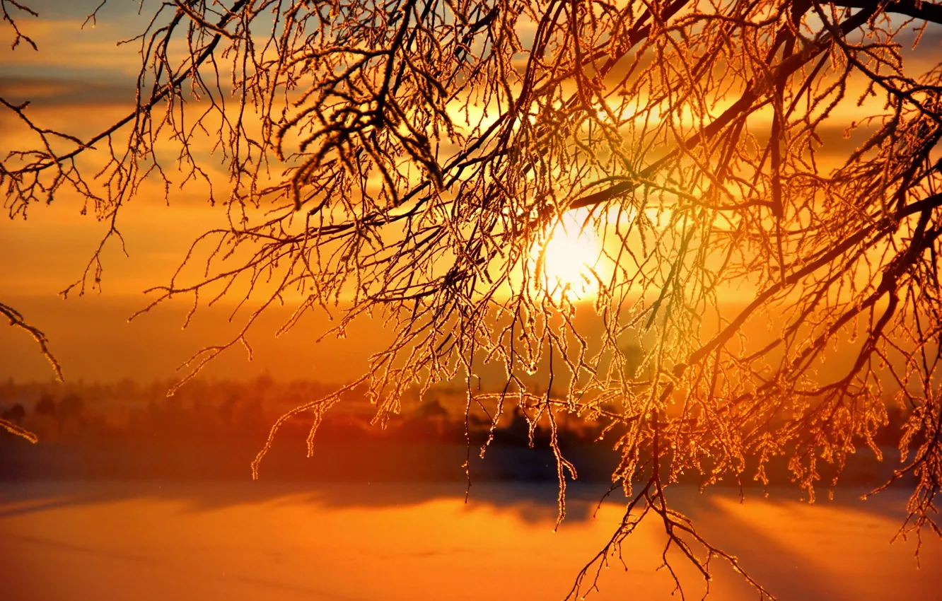 Photo wallpaper winter, the sun, sunset, sunset, winter, Sunrises