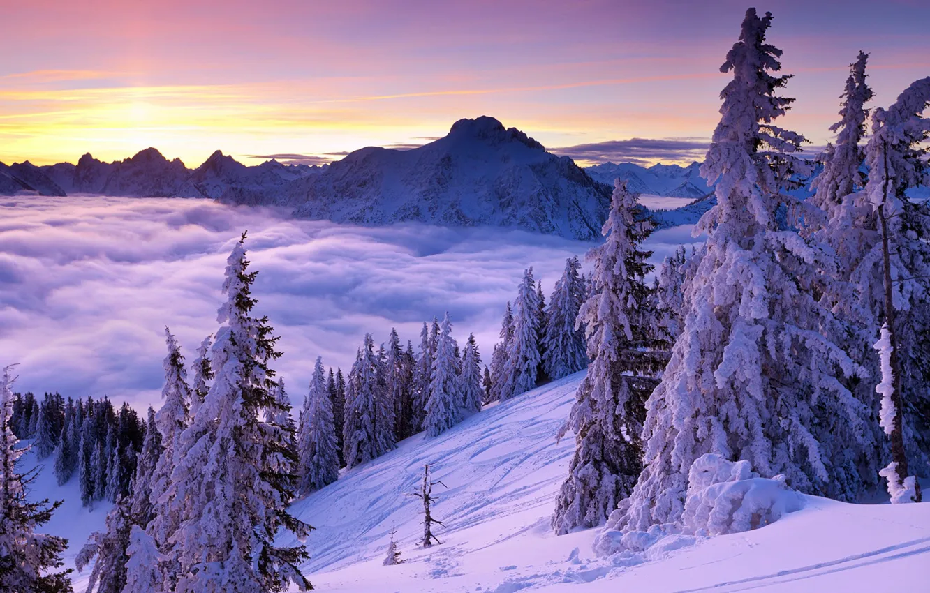 Photo wallpaper winter, the sky, clouds, snow, trees, mountains, dawn, slope