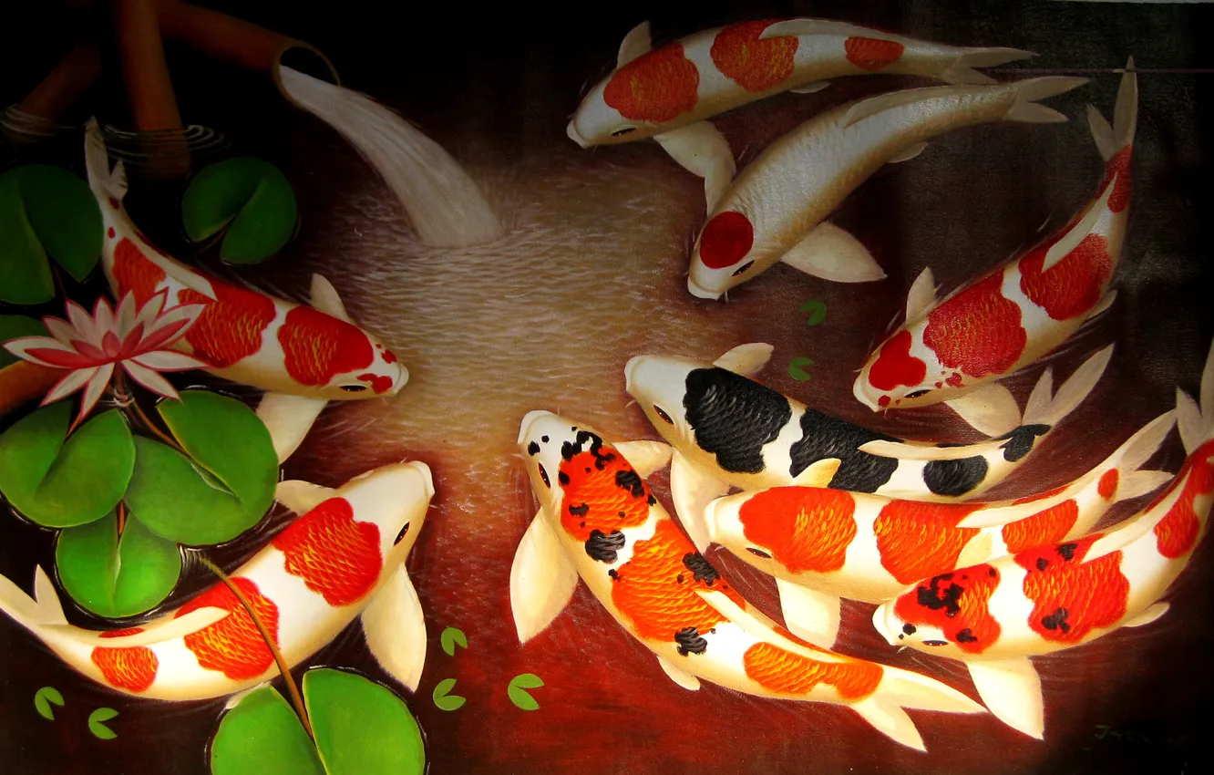 Photo wallpaper water, fish, art, Lotus, goldfish, spring, koi, koi fish