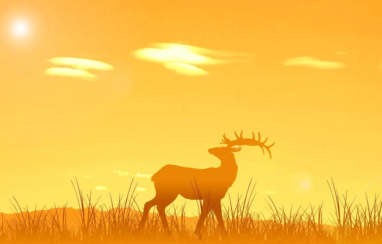 Photo wallpaper the sun, sunset, nature, sunrise, animal, deer