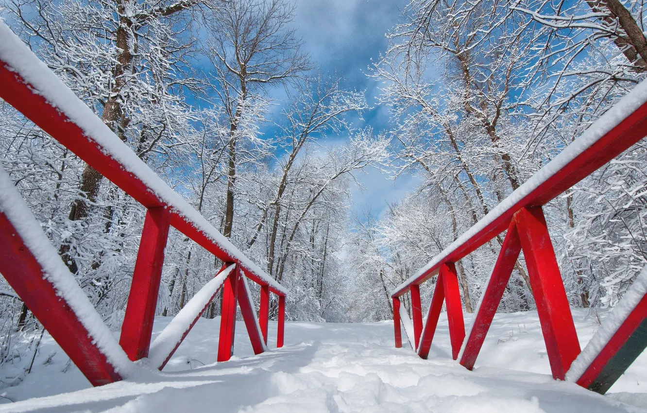 Photo wallpaper winter, snow, Park, the bridge