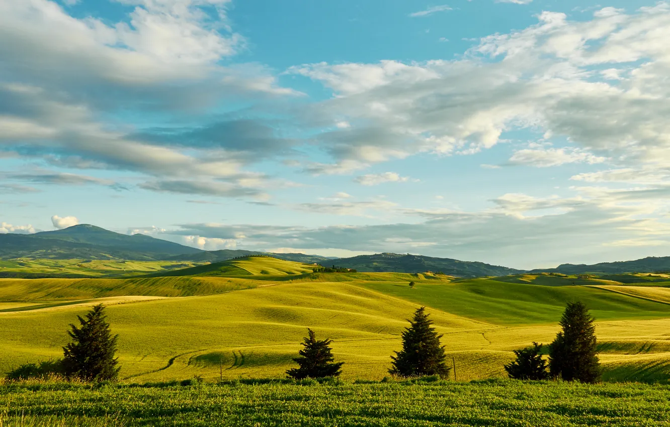 Photo wallpaper greens, the sky, grass, clouds, trees, hills, field, space