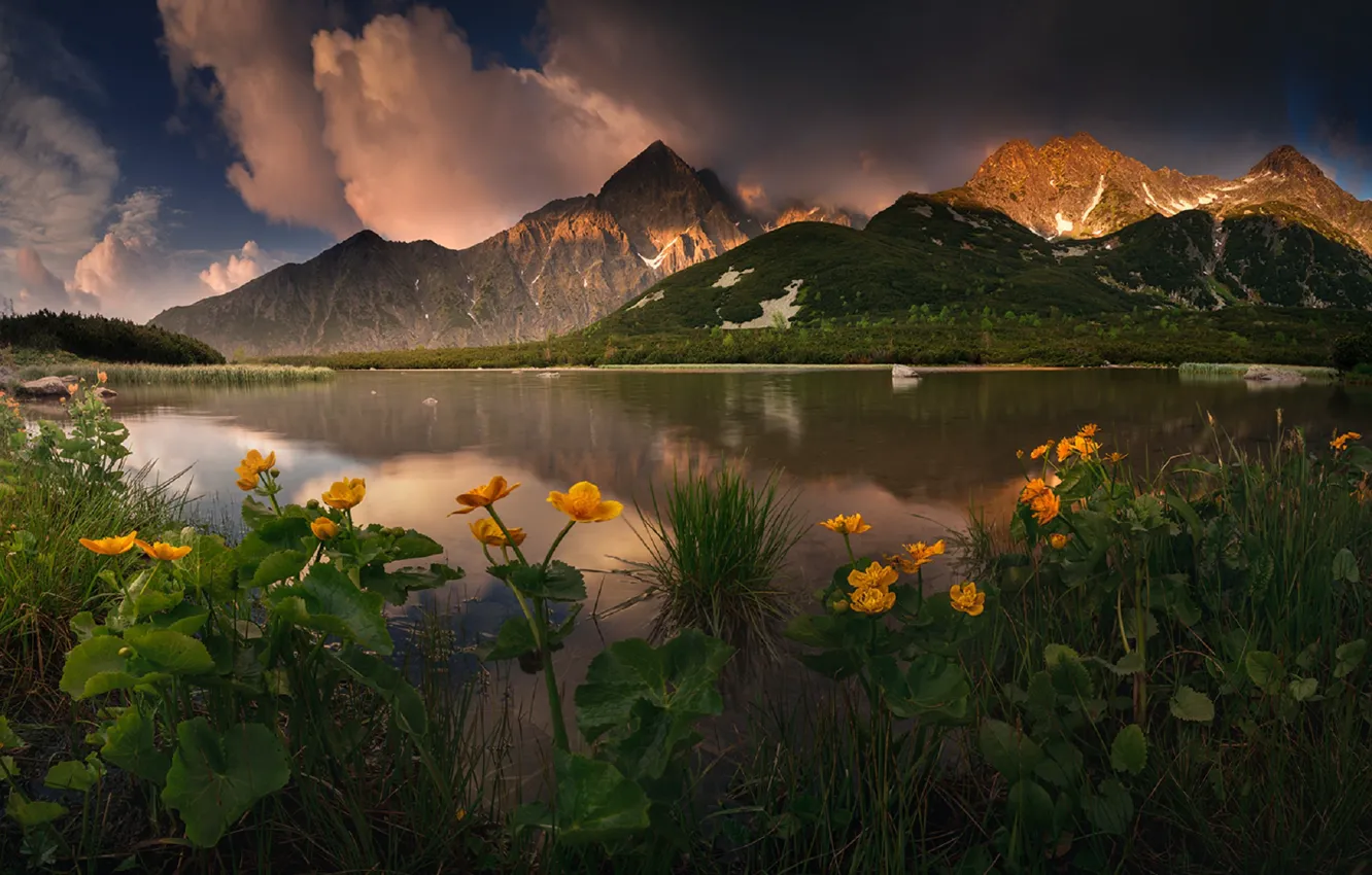 Photo wallpaper the sky, water, flowers, mountains, lake, Slovakia, Karol Offers