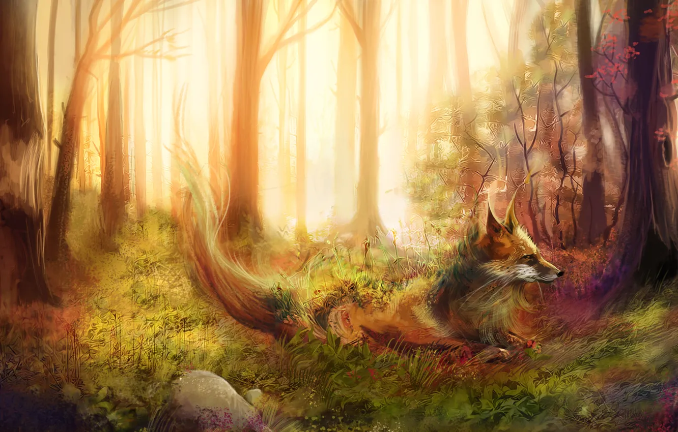 Photo wallpaper forest, grass, trees, stones, Fox, red