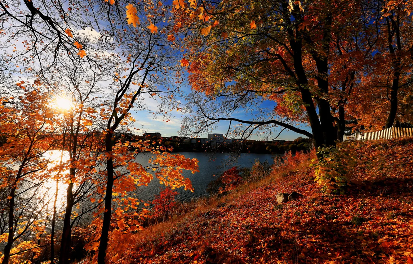 Photo wallpaper autumn, shore, foliage, pond
