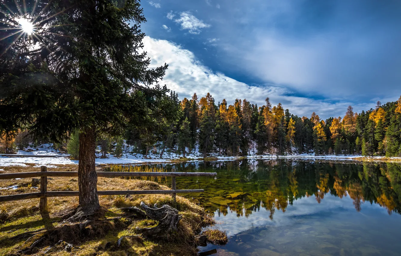 Photo wallpaper autumn, forest, nature, lake