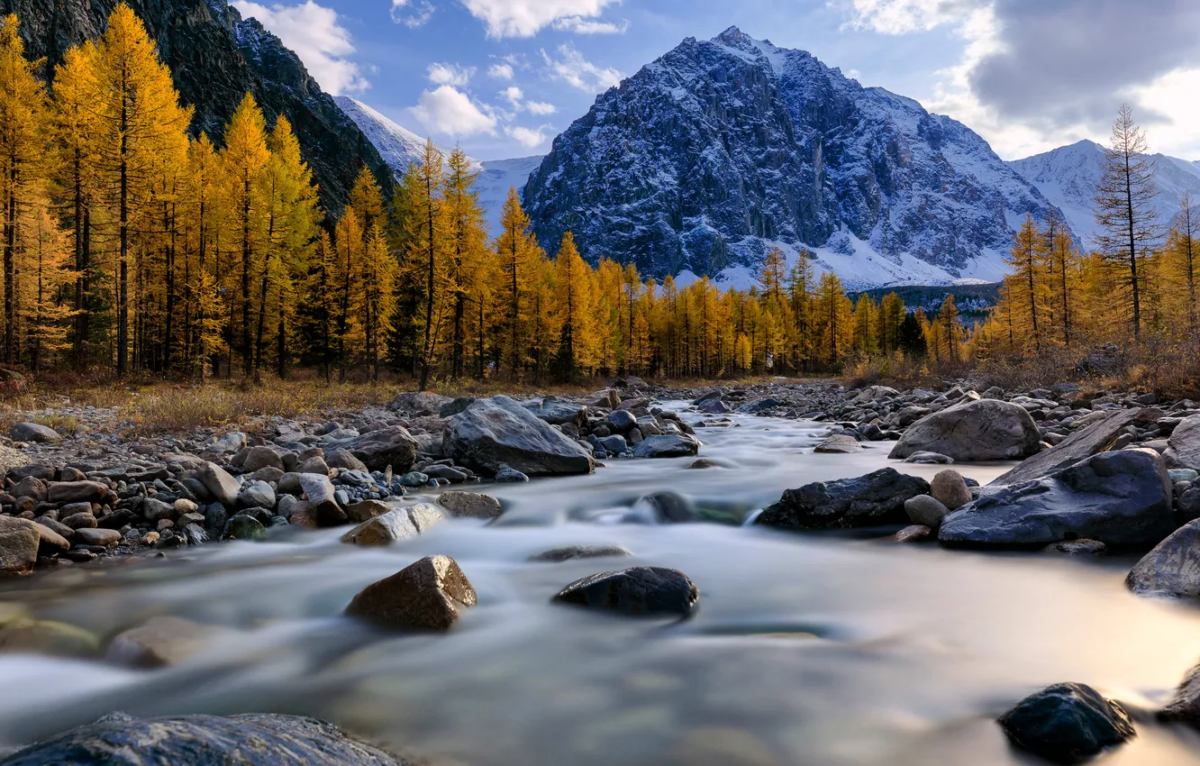 Photo wallpaper forest, sky, landscape, nature, water, autumn, clouds, snow