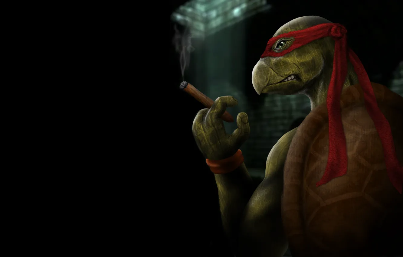 Photo wallpaper the dark background, cigar, TMNT, Teenage Mutant Ninja Turtles, teenage mutant ninja turtles