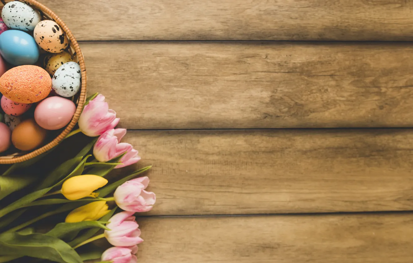 Photo wallpaper flowers, spring, Easter, tulips, pink, wood, pink, flowers