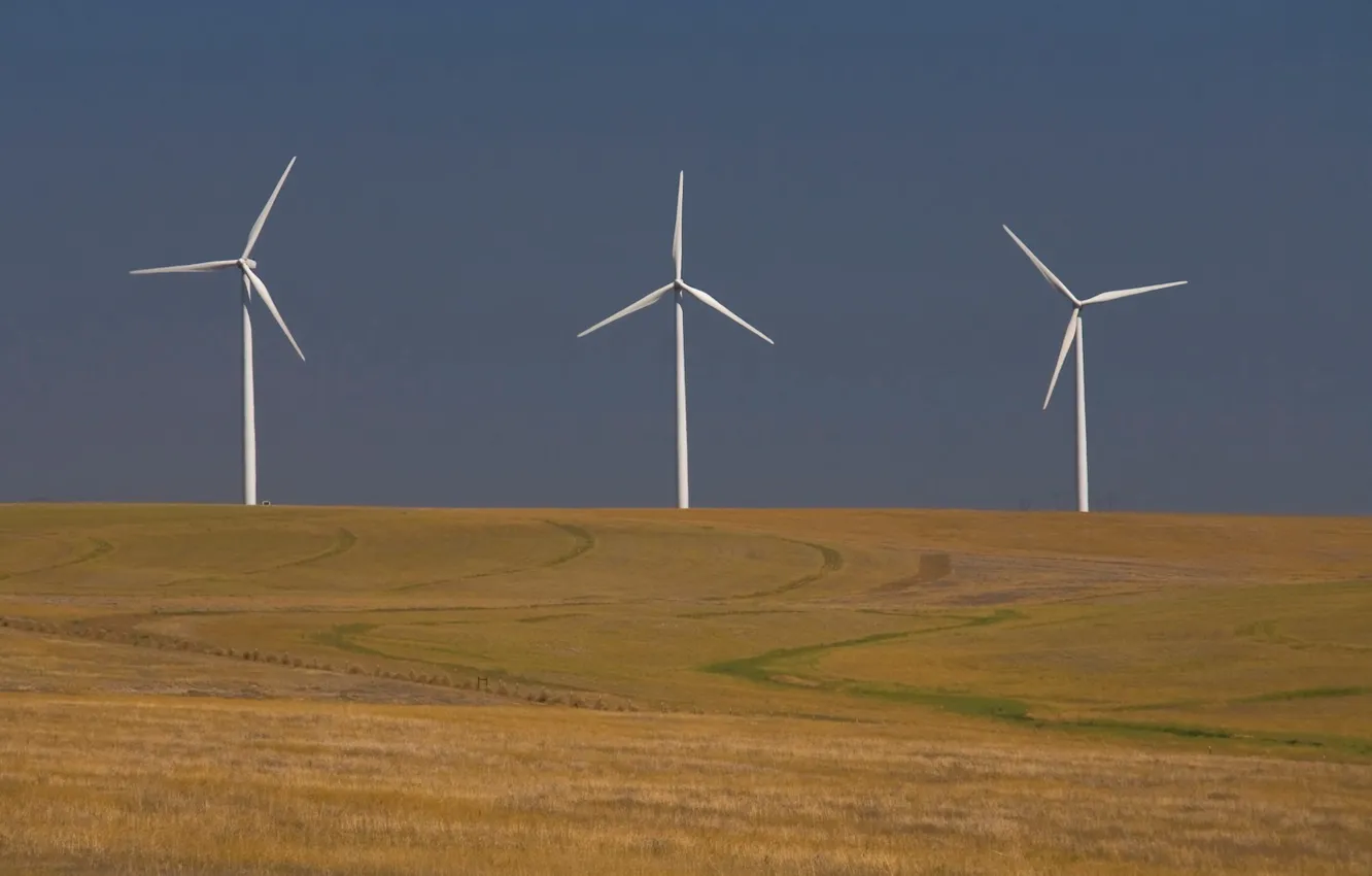 Photo wallpaper field, twilight, windmills