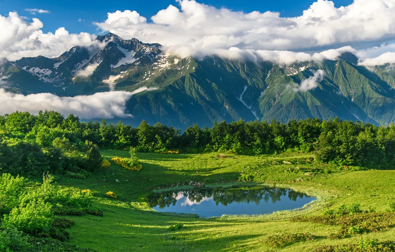 Photo wallpaper summer, the sun, clouds, trees, mountains, nature, shadow, Anna Andreeva